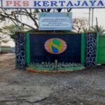 Apkasindo Banten dan Petani Sawit Gelar Aksi di PTPN IV PKS Kertajaya Tuntut Ganti Rugi Selisih Timbangan