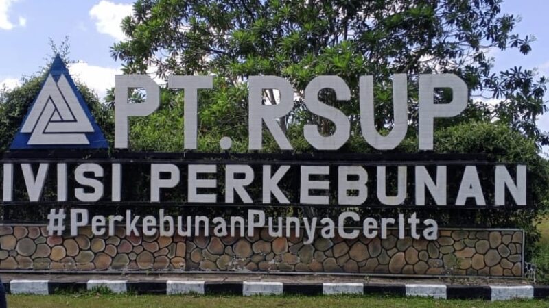 237 Hektar Lahan PT RSUP di Indragiri Hilir Ditetapkan Masuk Kawasan Hutan, Kajati Riau Sudah Dikonfirmasi