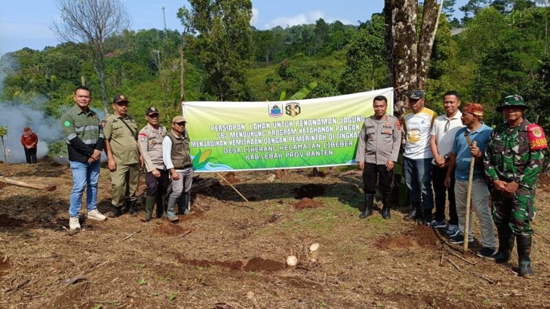 PT Samudera Banten Jaya Dukung Program Ketahanan Pangan Lewat Penanaman Jagung di Ciherang