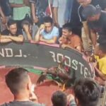 Dugaan Arena Judi Sabung Ayam di Rumah Oknum Brimob Polda Sulut, Warga Tungoi I Resah