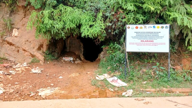 Tambang Emas Ilegal Citorek Rusak Hutan dan Jalan Provinsi