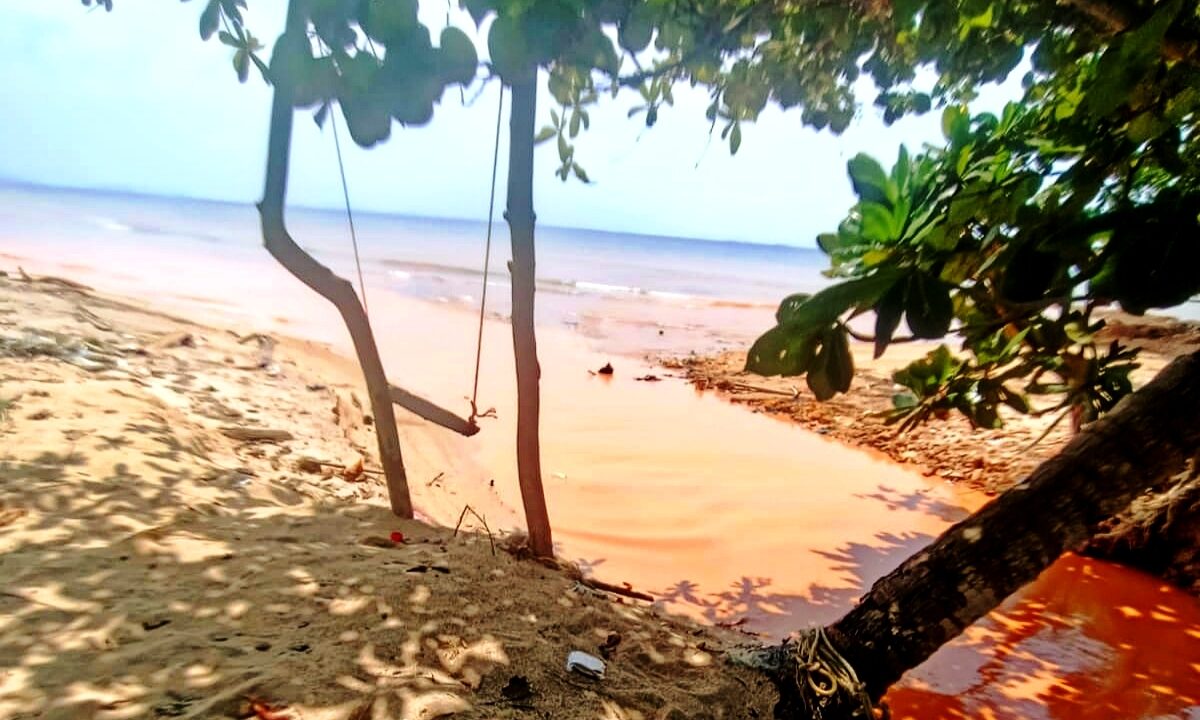 Teluk Mata Ikan Keruh, Nelayan Soroti Dampak Cut and Fill