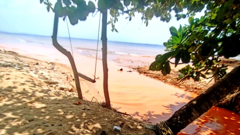 Teluk Mata Ikan Keruh, Nelayan Soroti Dampak Cut and Fill
