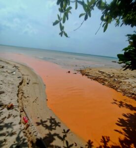 Teluk Mata Ikan Keruh